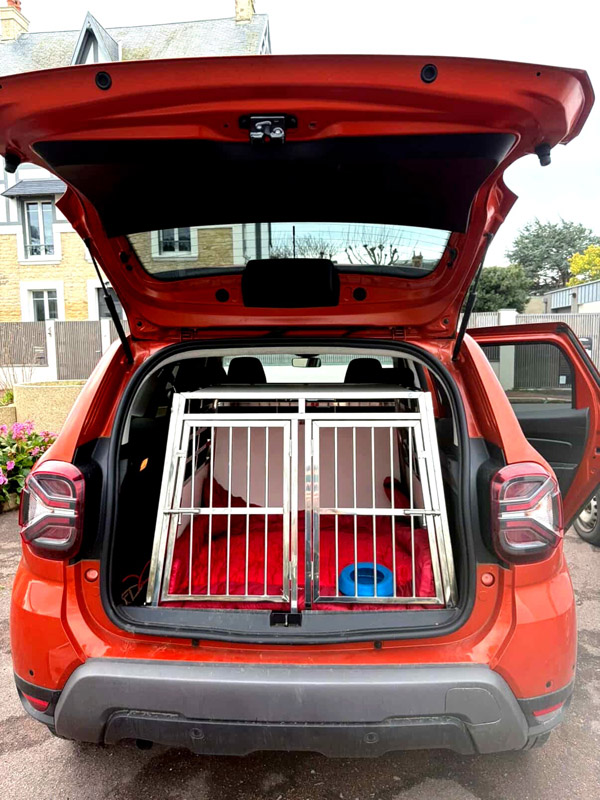 Le guide ultime pour choisir la cage de transport idéale pour son chien et sa voiture